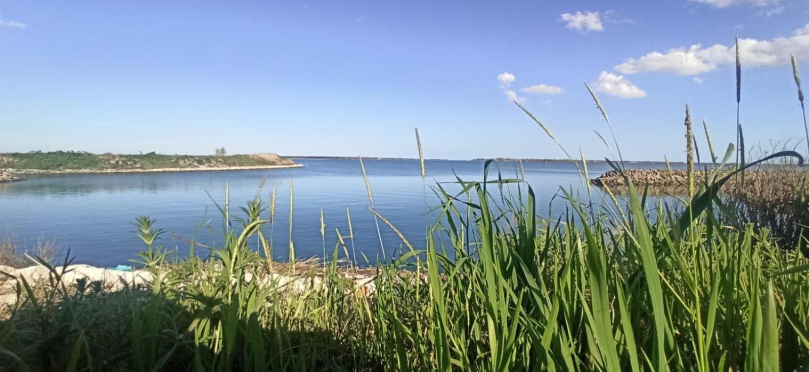Casa Vacanze Nel Delta Del Po Taglio di Po Exterior foto