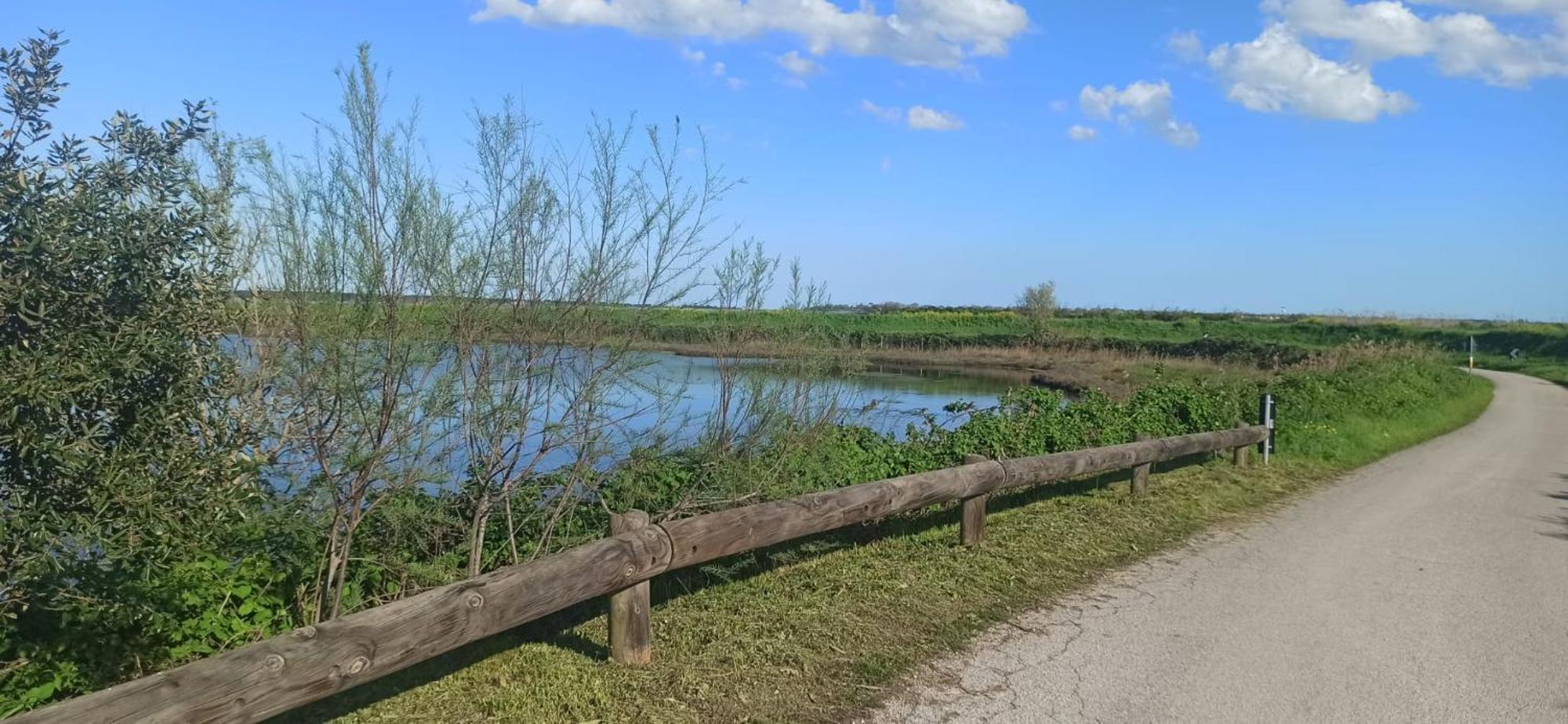 Casa Vacanze Nel Delta Del Po Taglio di Po Exterior foto